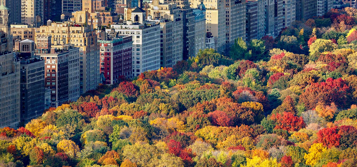 NYC Fall Events Guide: November 2019