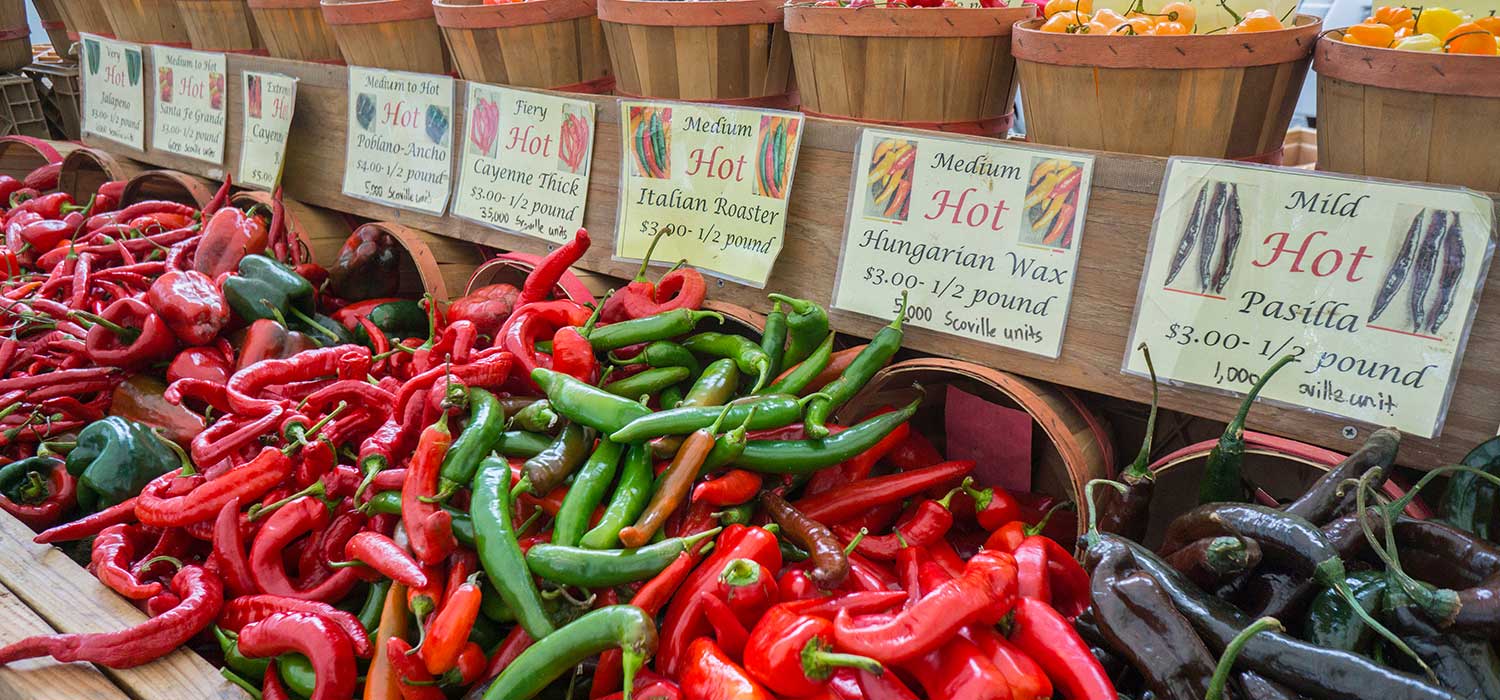 The 11 Best Farmers Markets in NYC