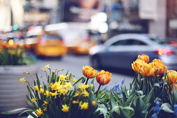New York City Spring Events Guide 2022