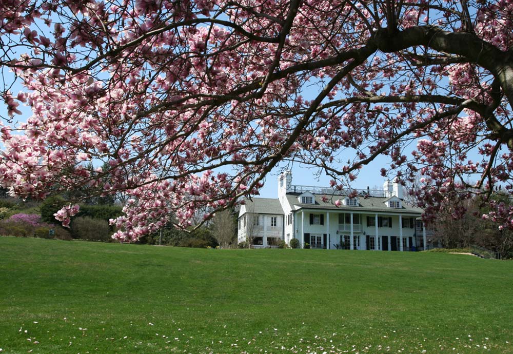 Westchester Spring Events Guide 2022