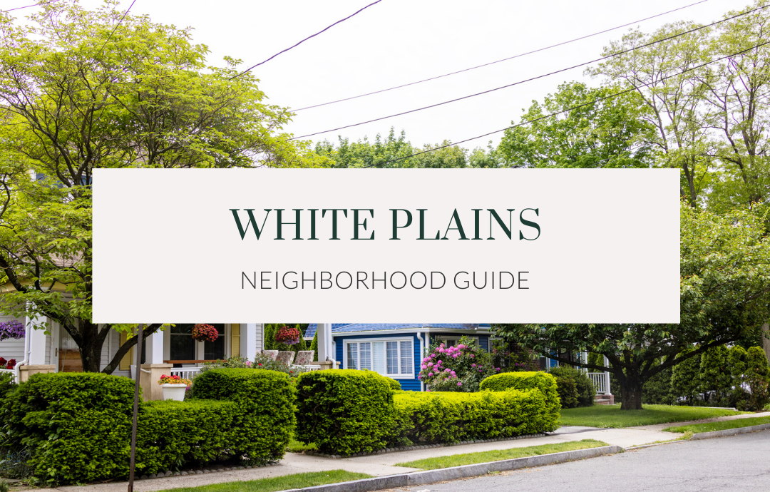 White Plains Neighborhood Guide