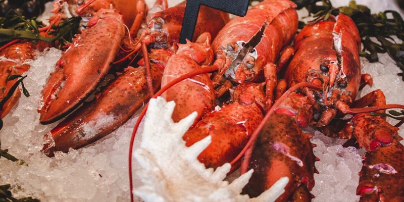How to Celebrate Lobster Season in Turks & Caicos