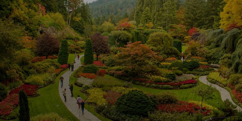 Best Places to See the Seasons Change on Vancouver Island